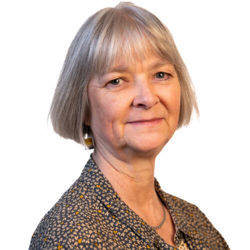 Lesley Durrans profile picture