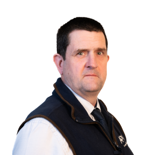 Mike Harrison profile picture